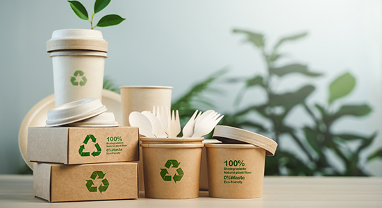 la alegreya our values  0001 sustainability