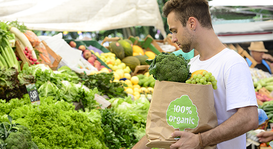 la alegreya our values  0003 certified organic